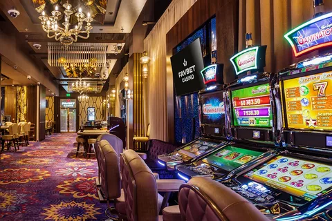 Apa Itu Slot Volatilitas Tinggi dan Rendah serta Contohnya di Imbaslot
